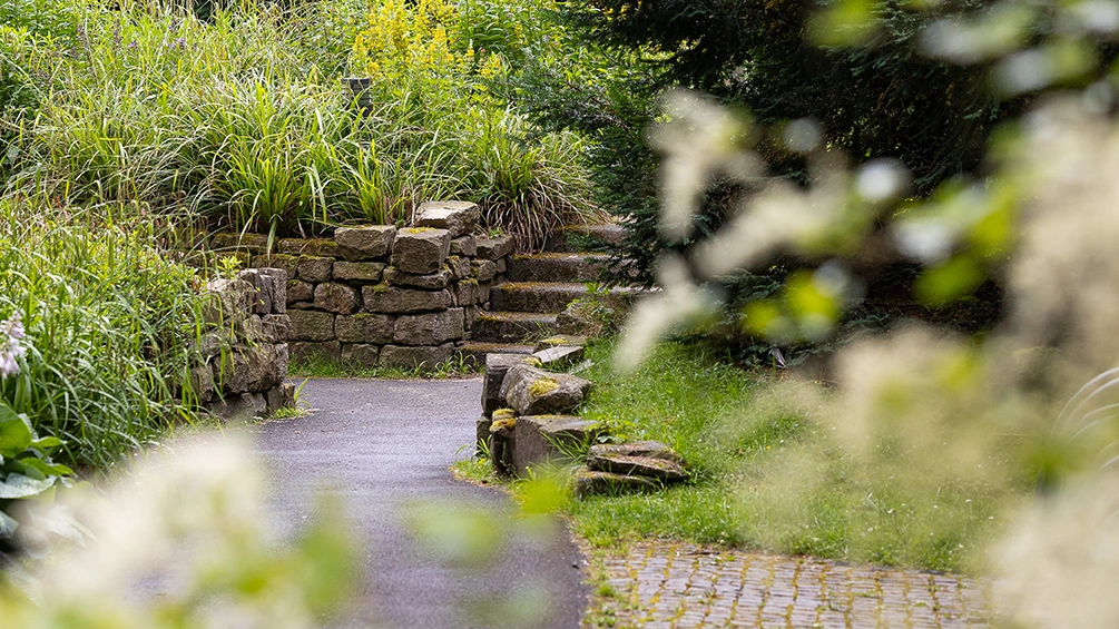 Garten