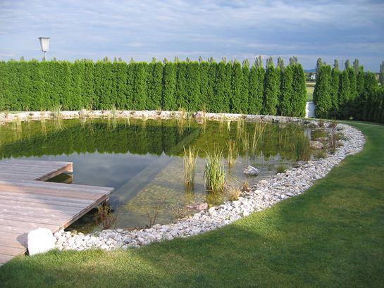 Gartengestaltung Mag. Roman Fuchs in Neufeld an der Leitha