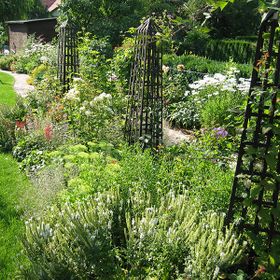 Gartengestaltung Mag. Roman Fuchs in Neufeld an der Leitha