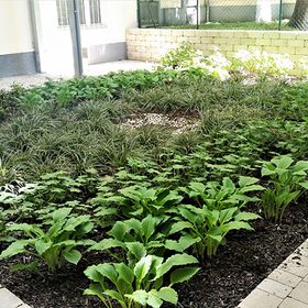 Gartengestaltung Mag. Roman Fuchs in Neufeld an der Leitha